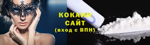гидра Володарск
