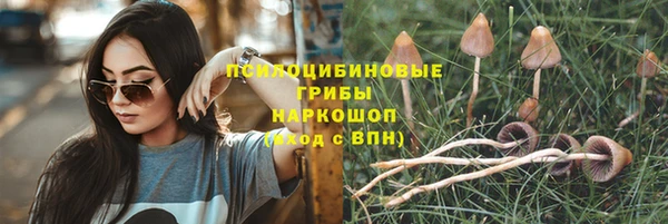 гидра Володарск