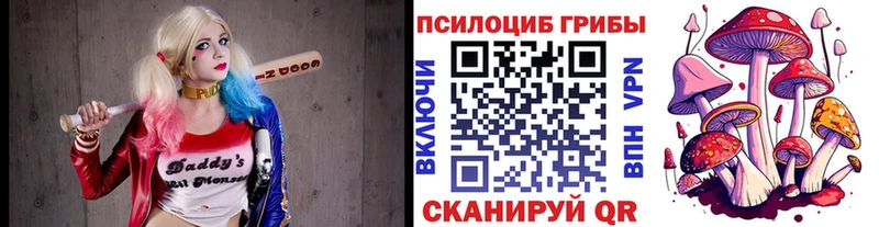 Галлюциногенные грибы Psilocybine cubensis  закладки  Зима 